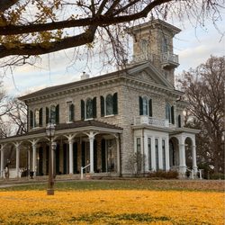 Oakland House - Yellow leaves from the Ginkgo tree blanketing the grass in front of the Oakland House Museum. : November 20, 2021