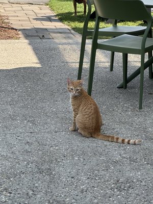 Dune Bird Winery by null