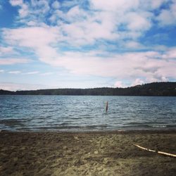 Elk/ Beaver Lake Regional Park
