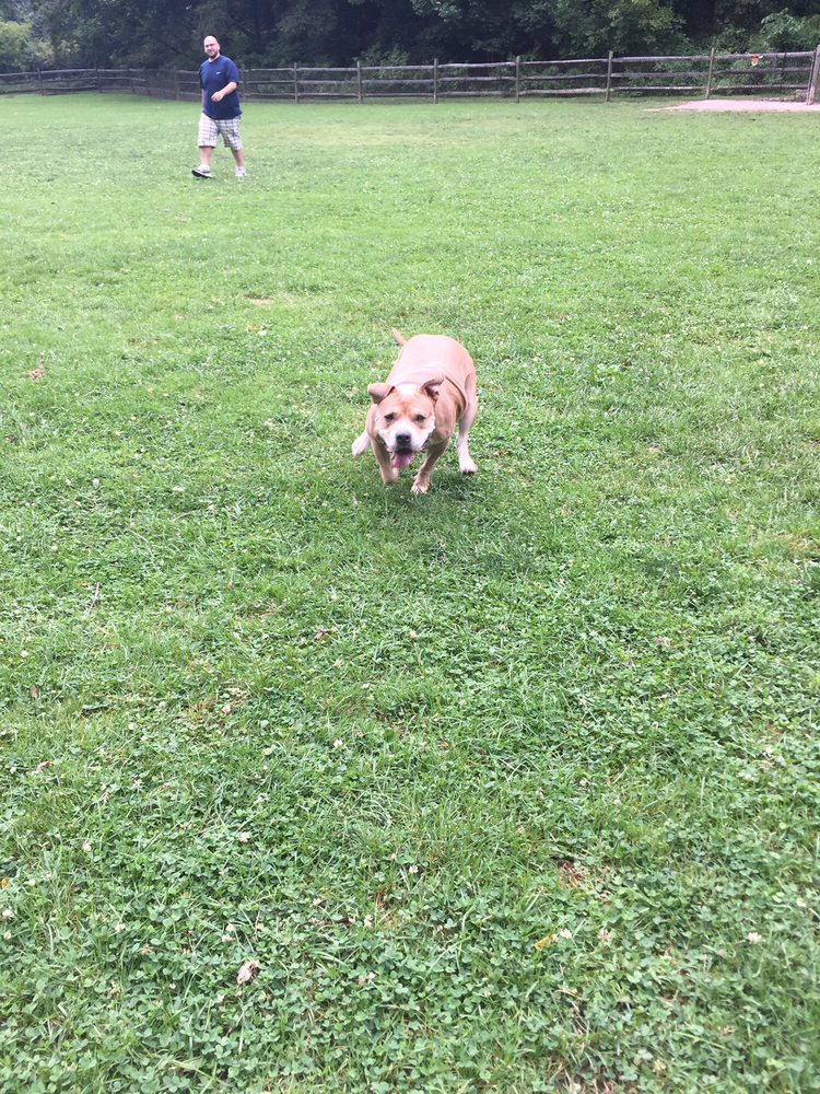 PENN HILLS DOG PARK Updated September 2024 754 Jefferson Rd, Penn Hills, Pennsylvania Dog