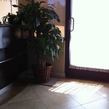 Jeffrey Chen, DDS - Cute plant :) - General Dentistry Near Me - Temple City, California Jeffrey Chen, DDS - Cute plant :) - General Dentistry Near Me - Temple City, California