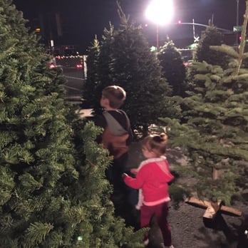 Chad's Christmas Trees - Christmas Trees Near Me - West Sacramento, California Chad's Christmas Trees - Christmas Trees Near Me - West Sacramento, California
