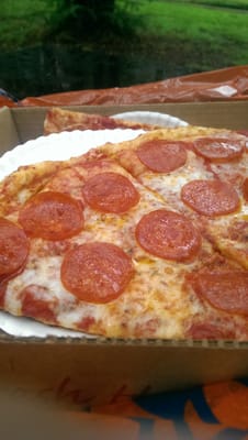 Italian Gator Pizza by null