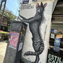Spa-pet