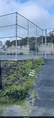 San Pedro High School by null