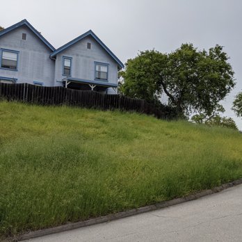 Central Coast Weed Pullers - Before - Landscaping Near Me Central Coast Weed Pullers - Before - Landscaping Near Me