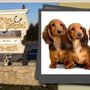 Photo of 5th Avenue Animal Hospital