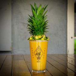 Hoppy Trout Brewing Company - Best Day ever...55lbs of pineapple to help with that