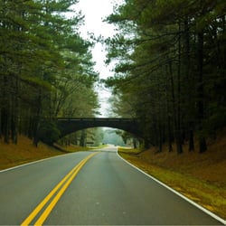 Natchez Trace Parkway