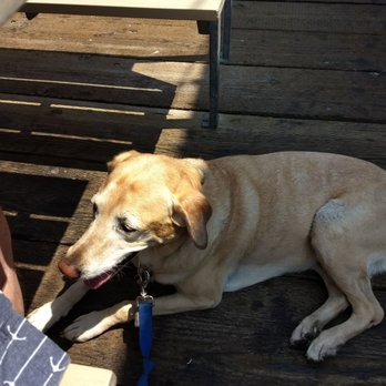 Mersea's - Very dog friendly pier seating. - Bars Near Me - Avila Beach, California
