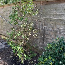 Bill Bownds Nursery