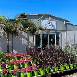 Everde Growers - Everde Growers - Miramar Landscape Center Entrance