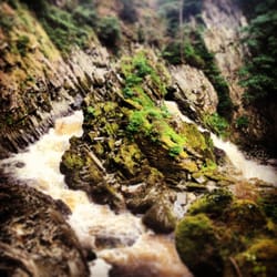 Conwy Falls Cafe - Conwy Falls