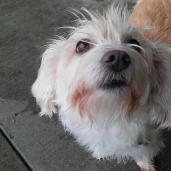 Tails & Trails - Feb 19, 2016 - Pet Sitting Near Me Tails & Trails - Feb 19, 2016 - Pet Sitting Near Me
