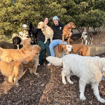 Wags Dog Boarding - Frankie and Zoey and their crew! - Pet Boarding Near Me Wags Dog Boarding - Frankie and Zoey and their crew! - Pet Boarding Near Me
