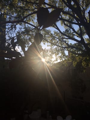 Hotel Le Vieux Castillon by null