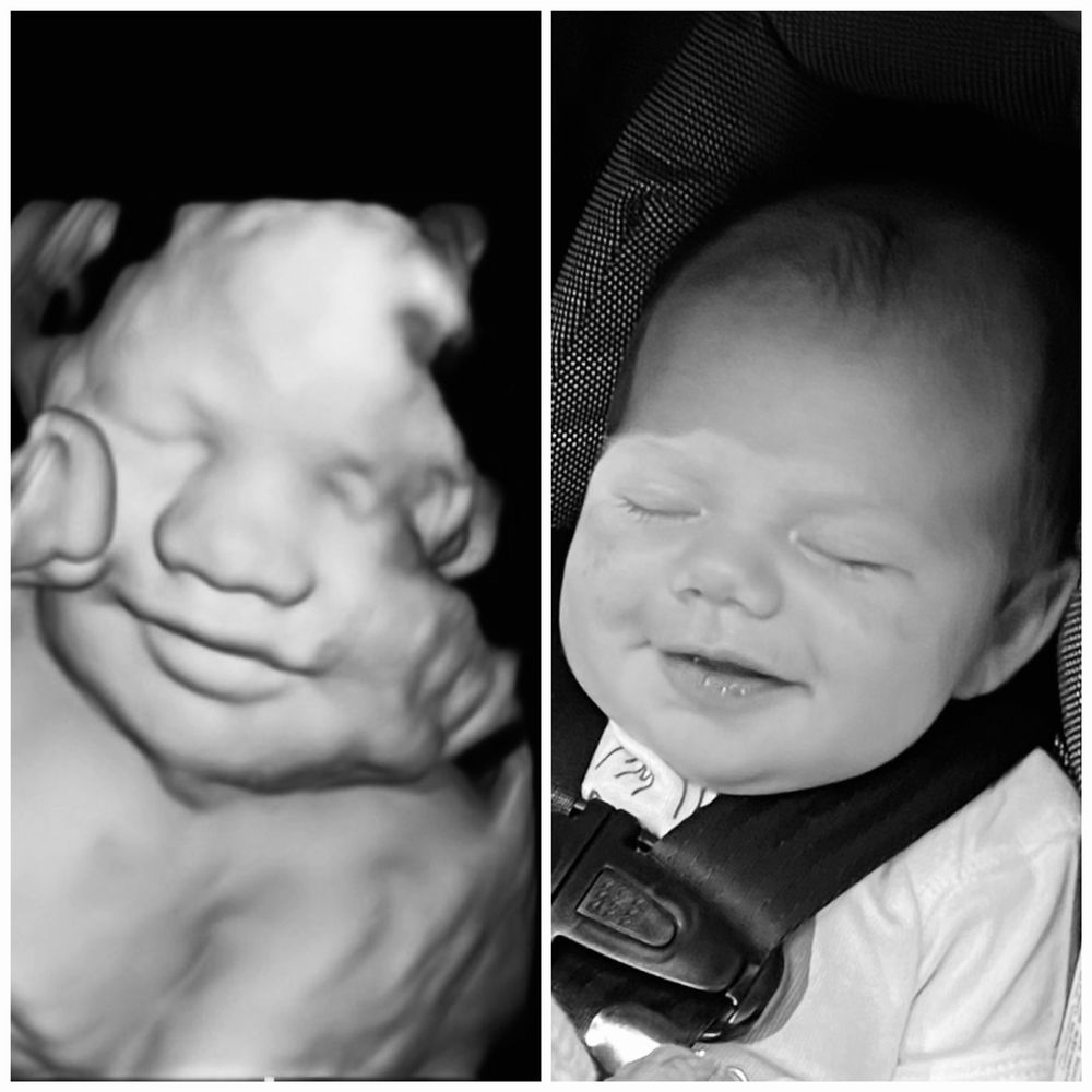 My Carolina Baby - grief counselor in Charlotte, NC