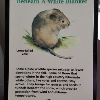 Dos Chappell Nature Center - Hiking Near Me