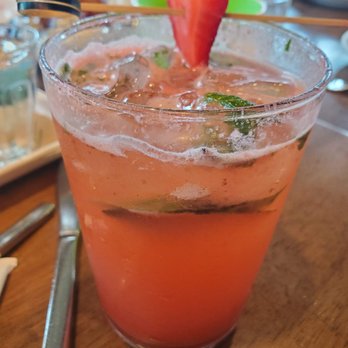 OLIVIA - Italian Near Me - Tampa, Florida OLIVIA - Italian Near Me - Tampa, Florida