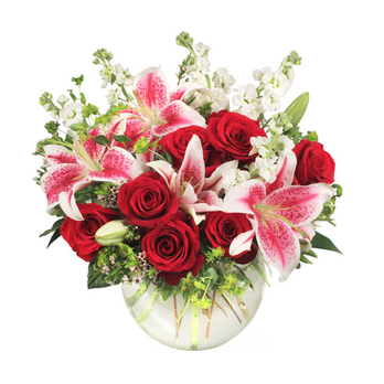 Flowerama On Pacific - It's never been easier to say what STARTS IN THE HEART, with amazing Stargazer lilies, red roses, and white stock! - Florists Near Me - Omaha, Nebraska Flowerama On Pacific - It's never been easier to say what STARTS IN THE HEART, with amazing Stargazer lilies, red roses, and white stock! - Florists Near Me - Omaha, Nebraska