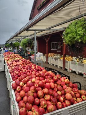 Bauman's Farm and Garden by null