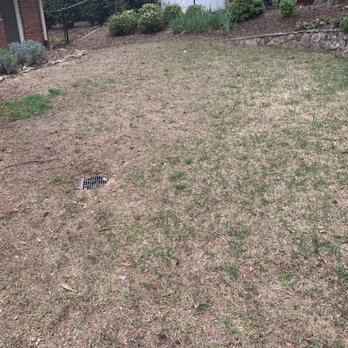TruGreen Lawn Care - a patch of grass in a backyard - Lawn Services Near Me - Norcross, Georgia TruGreen Lawn Care - a patch of grass in a backyard - Lawn Services Near Me - Norcross, Georgia