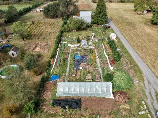 Dilish Farm by null