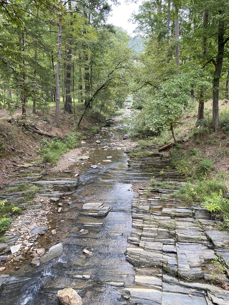 BEAVERS BEND STATE PARK NATURE CENTER Updated October 2024 27