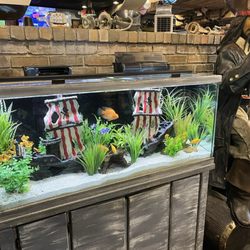 Decor