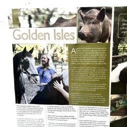 The Farm at Oatland North - The Farm at Oatland North