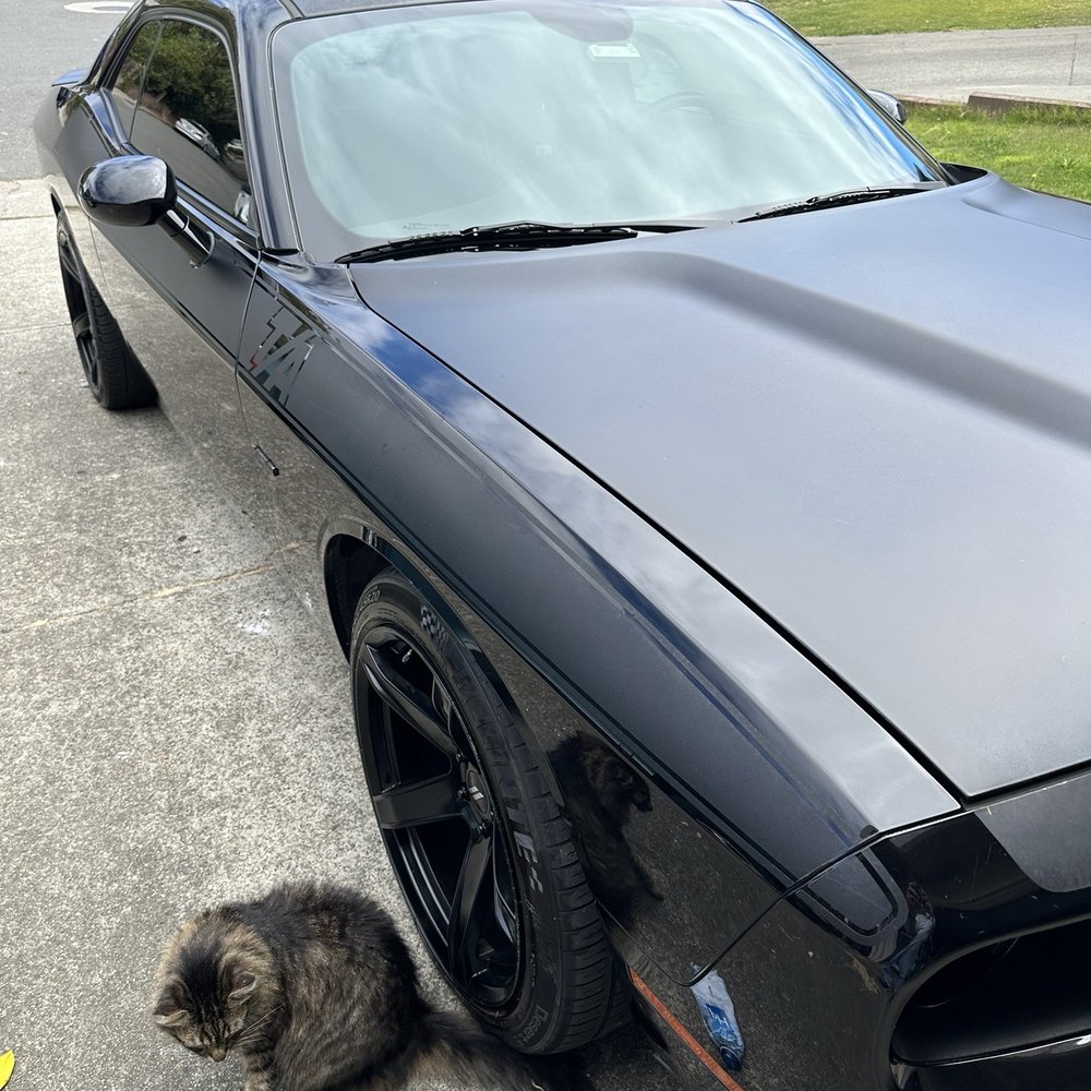 ABC Muffler & Hitch - My neighbors cat - Auto Parts & Supplies Near Me - Benicia, California ABC Muffler & Hitch - My neighbors cat - Auto Parts & Supplies Near Me - Benicia, California