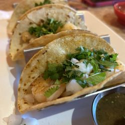 Rojo Cocina Mexicana & Cantina - Shrimp street tacos with corn tortillas- the side sauce was HOT!