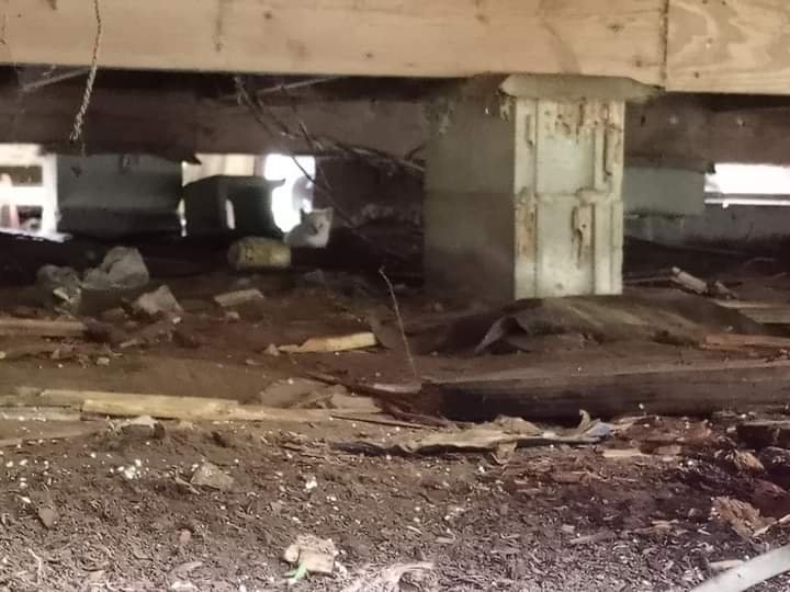 Slide of All n One House Leveling