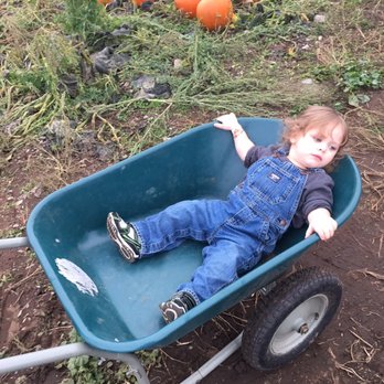 Thomasson Family Farm - Pumpkin Patches Near Me - Enumclaw, Washington Thomasson Family Farm - Pumpkin Patches Near Me - Enumclaw, Washington