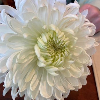 Sandbar - Fresh flower  on the table - Bars Near Me - Cold Spring Harbor, New York