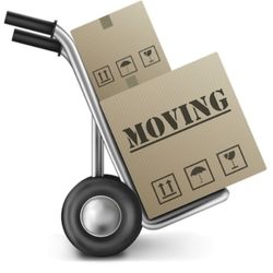Aleman Moving Services