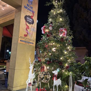 Blue Monkey Cafe & Restaurant - Vietnamese Near Me - San Jose, California