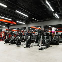 House of Gains Gym
