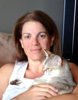 meadow brook cat clinic