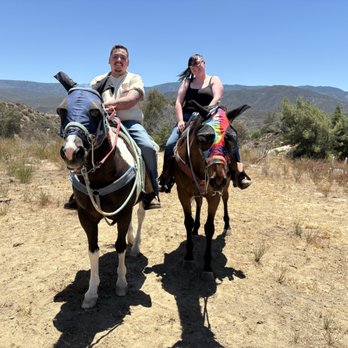 Saddle Up Wine Tours - Horseback Riding Near Me - Aguanga, California Saddle Up Wine Tours - Horseback Riding Near Me - Aguanga, California