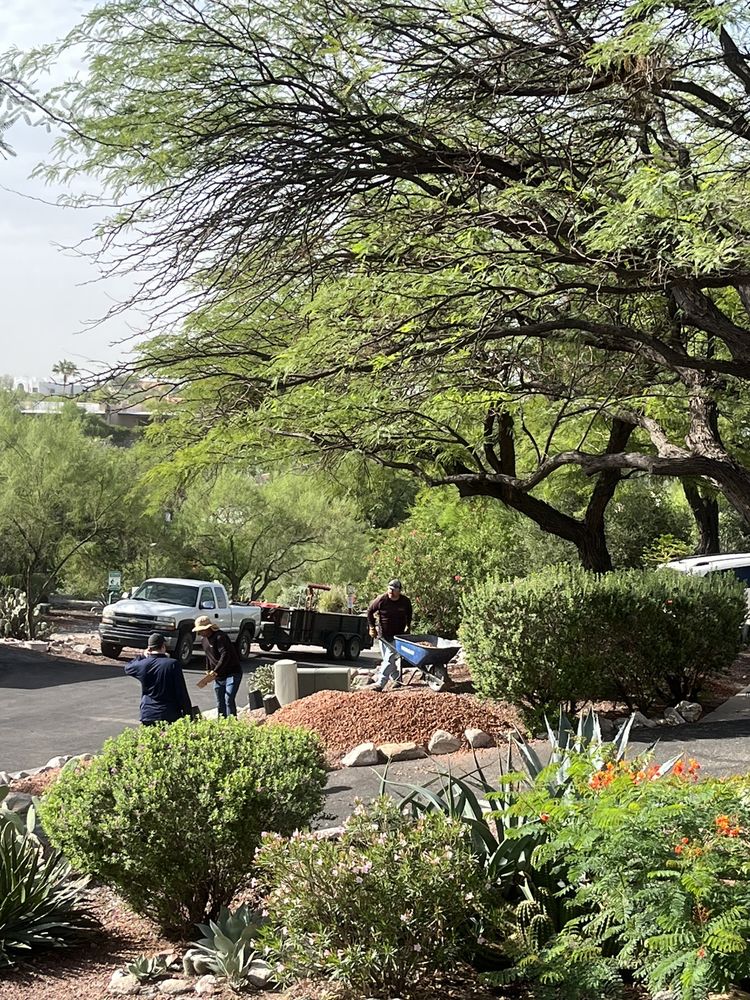 POPPY YARD SOLUTIONS Updated September 2024 17 Photos Tucson AZ, Arizona Masonry