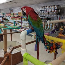 Avalon Aviary Bird Store - Inside of store