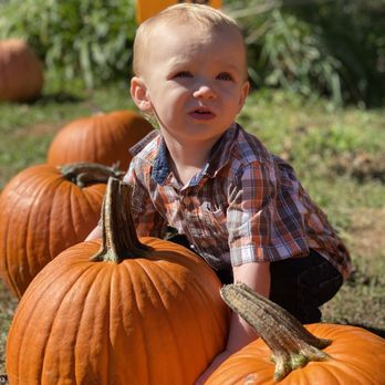 Bradley's Pumpkin Patch - Pumpkin Patches Near Me - Dawsonville, Georgia Bradley's Pumpkin Patch - Pumpkin Patches Near Me - Dawsonville, Georgia
