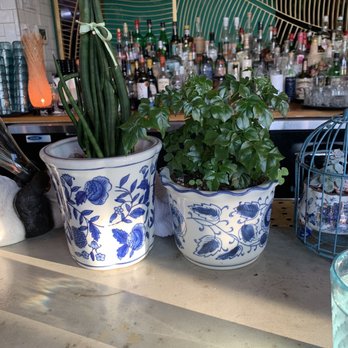 HAI HAI - Plants - Vietnamese Near Me - Minneapolis, Minnesota