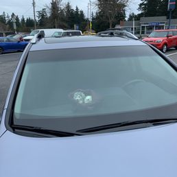 Hedgy and Piney waiting in the car as mom, grandma, and I shopped. Hedgy and Piney waiting in the car as mom, grandma, and I shopped.