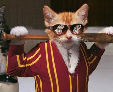 Slide of Homeowners Hub