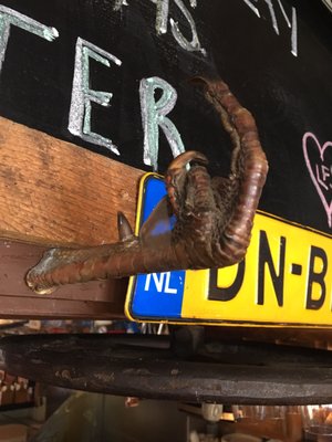 Last Frontier Saloon by null