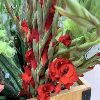 Trader Joe's - Gladiola - Grocery Near Me - Dallas, Texas Trader Joe's - Gladiola - Grocery Near Me - Dallas, Texas