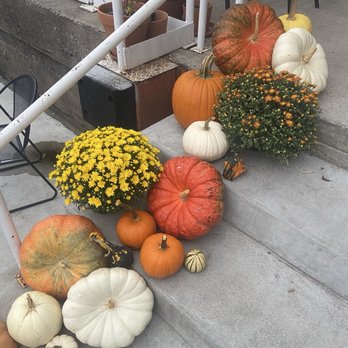 Hank's Coffee Station - Adorable fall decor outside - Desserts Near Me - Columbia, Tennessee Hank's Coffee Station - Adorable fall decor outside - Desserts Near Me - Columbia, Tennessee