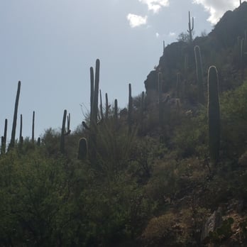 Sabino Canyon - Parks Near Me - Tucson, Arizona Sabino Canyon - Parks Near Me - Tucson, Arizona